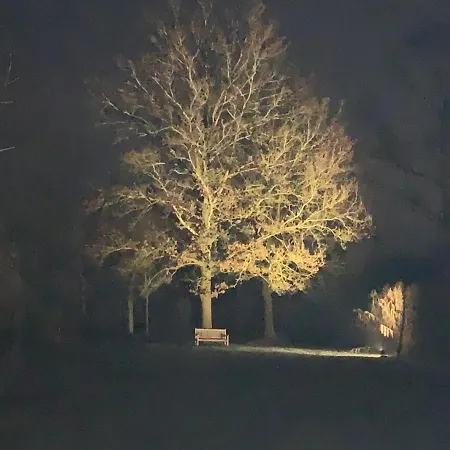 Willa Lovely Warm Country