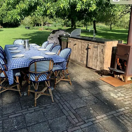 فيلة Lovely Warm Country