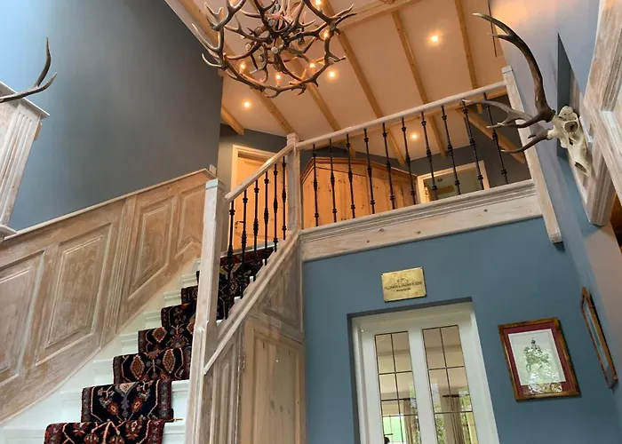 فيلة Lovely Warm Country