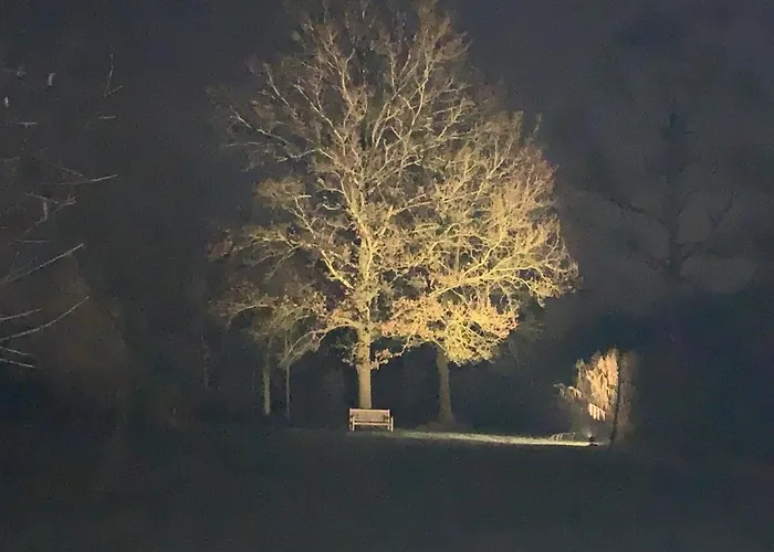 فيلة Lovely Warm Country